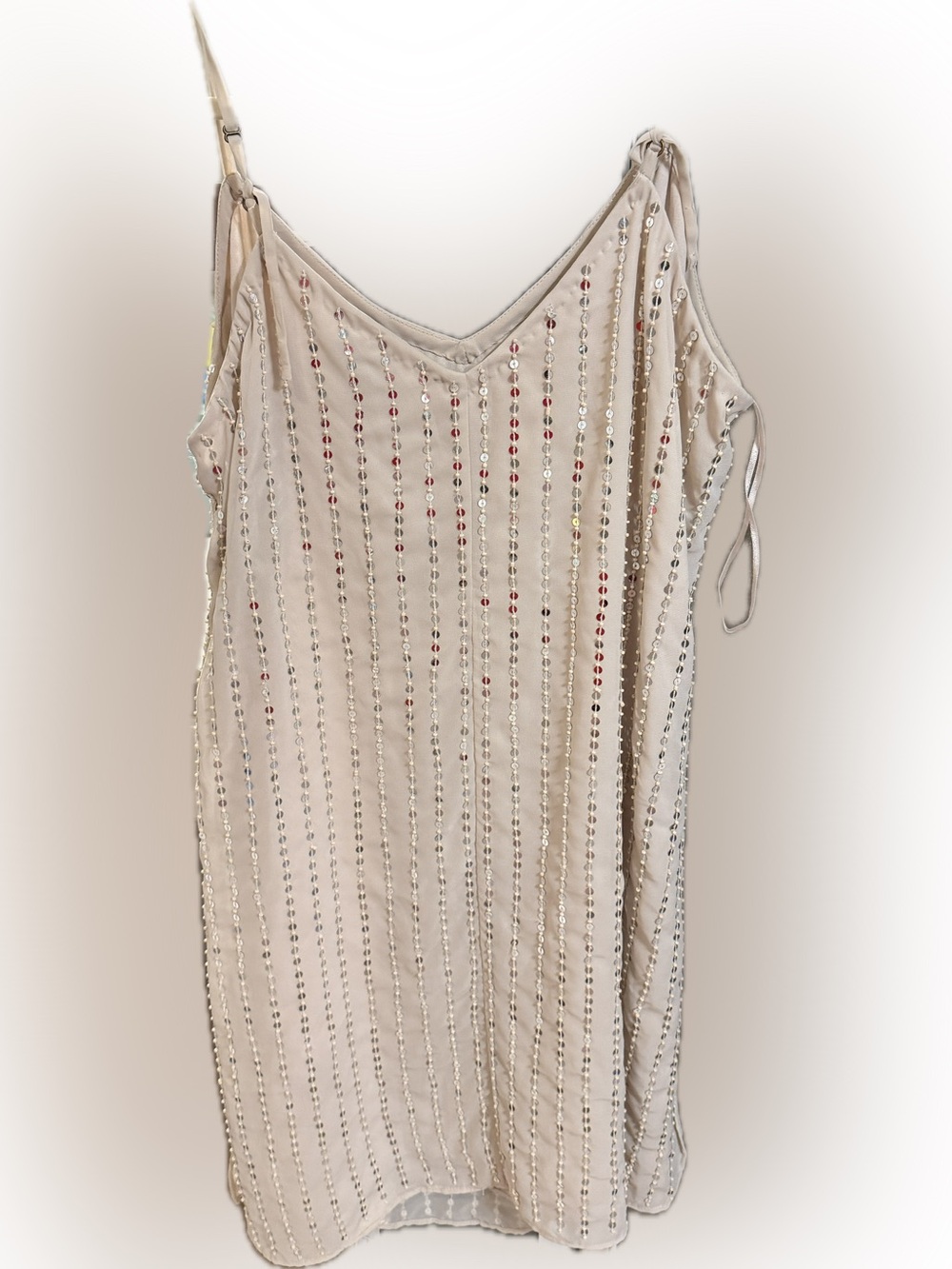 fab'rik Beige Sequin-Striped V-Neck Camisole